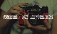 魏建国：紧抓金砖国度发展机遇，开展更为广泛的经贸协作